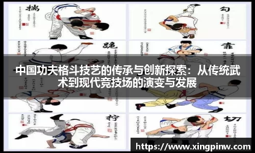 中国功夫格斗技艺的传承与创新探索：从传统武术到现代竞技场的演变与发展