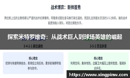 探索米特罗维奇：从战术巨人到球场英雄的崛起