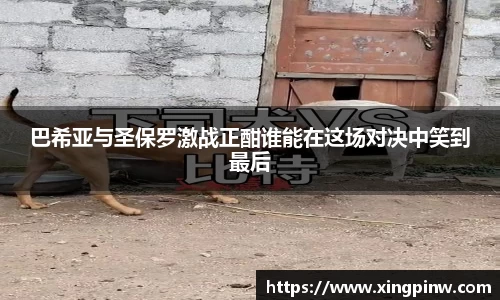 币游国际首页