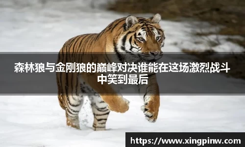 币游国际平台